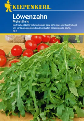 Produktbild von Löwenzahn mehrjährig