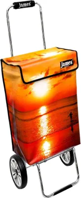 Obrázok produktu pre Nákupný vozík James - SUNSET - robustný nákupný vozík s individuálnym dizajnom - jednofarebný: oranžový v prevedení: Chrome19