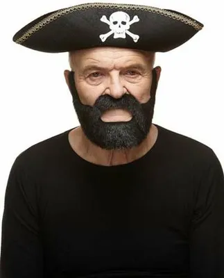 Obrázek produktu pro Falešné vousy My Other Me Black One Size Příslušenství pro převlek