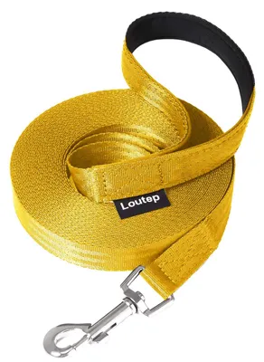 Imagen del producto de Correa de entrenamiento para perros, de nylon, en diferentes longitudes (de 3 a 30 metros), ideal para entrenamientos y paseos
