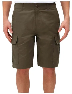 Image de Short Dickies DK0A4XEDMGR1 pour Homme