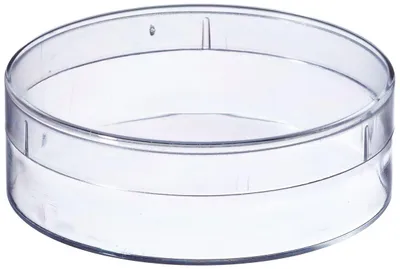 Runde Dosen 69 mm x 22 mm, 10er-Pack, Polystyrol, transparent