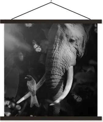 Produktbild von MuchoWow® Textilposter Vogel - Elefant - Dschungel - Schwarz - Weiß 40x40 cm mit schwarzem Rahmen - Fotos
