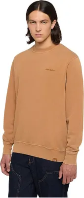 Immagine prodotto di Dickies Plentywood Felpa Braun S Mann Braun S