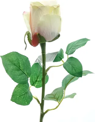 Produktbild von GASPER Rose Pfirsich 51 cm - Kunstblumen