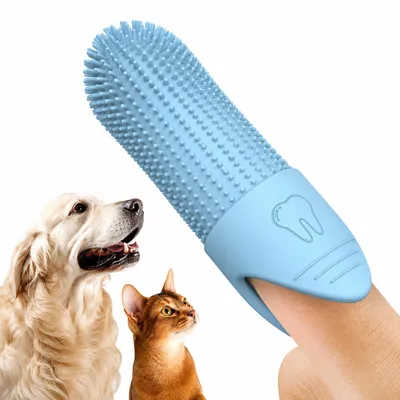 Produktbild von INF Haustierzahnbürste - Fingerzahnbürste Blau