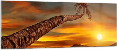 Produktbild von Bilder auf glas - Palme Landschaft Sonne - 140x50cm - Glasbilder - Wandbilder - Kunstdruck - zum Aufhängen bereit - Wanddekoration aus Glas - Glas Bilder - Wandbild auf Glas - GAB140x50-0162