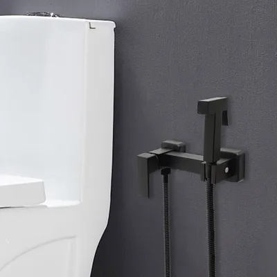 Obrázek produktu pro Ruční sprcha s hadicí Koupelnová armatura Sprej na čištění WC (černý)