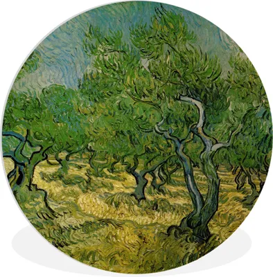 Produktbild von MuchoWow® Rundes Wandbild - Runde Bilder Olivenhain - Vincent van Gogh Ø 30 cm Kreis Wanddekoration Kunststoff - Wandkreis - Wandschmuck - Schlafzimmer - Bilder - Der Kreis - Kunst für die Wohnung - Plastik - Kunstdruck - Wandbild