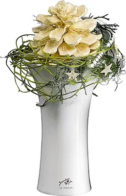 Produktbild von Sandra Rich 31-17 Tulip X-Vase aus Porzellan, Ø 10,5 x 17 cm, weiß (1 Stück)