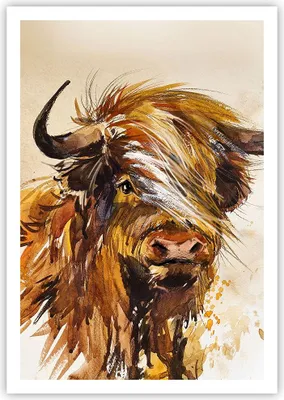 Produktbild von Poster - Poster ohne Rahmen - Stier Scotch Aquarell - 70x100 cm - Wand Bild - Wanddeko - Wandbilder - Kunstposter - Wandposter - Bilder - Kunstdruck - Wanddekoration - Wandbild - P2XPA70x100-4708