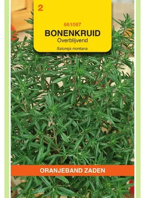 Productafbeelding van Oranjeband Zaden: Bohnenkruid, meerjarig, kruidenzaad - 1 zakje zaad