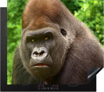 Produktbild von KitchenYeah© Herdabdeckplatte Nahaufnahme des Gesichts eines männlichen Gorillas , 60x52cm, Küche Deko, Glaskeramikkochfeld Herdabdeckung, Abdeckplatte fùr Kochfeld