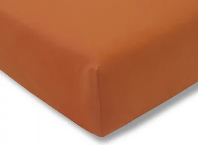 Produktbild von Estella Fein-Jersey Spannbettlaken Spannbetttuch 100 x 200 cm in vielen Farben terracotta