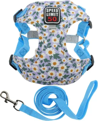Produktbild von Hundegeschirr Und Leine Set Mit Reflektierenden Streifen Verstellbares Geschirr Für Spaziergänge Geschirr Für Kleine Und Mittelgroße Hunde Und Katzen S Blau