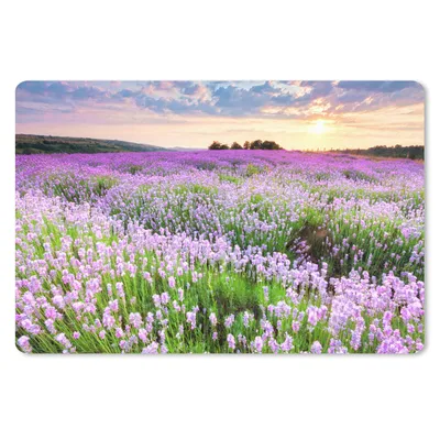 Produktbild von MuchoWow® Schreibtischunterlage Blumen - Lavendel - Lila - Himmel - Sonnenuntergang - Wiese - Natur 60x40 cm - XXL Mauspad - Großes Mauspad