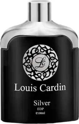 Produktbild von Silver Homme Eau de Parfum Spray 100ml