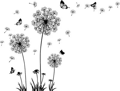 Produktbild von Wandtattoo Löwenzahn, Wandtattoo Pusteblume Schmetterling Blumen