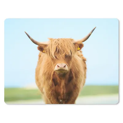 Produktbild von MuchoWow® Mauspad Mousepad Schottischer Highlander - Haare - Gras 23x19 cm - Mousepads - Maus Mat - Pad - Mausunterlage - Schreibtischunterlage - Mauspad