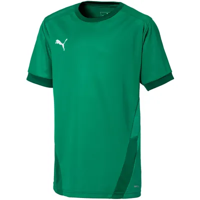 Image de Chemise Puma Teamgoal 23 Jersey 70416005