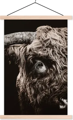 Produktbild von MuchoWow® Textilposter Schottisches Hochlandrind - Kuh - Stier 120x180 cm mit holzfarbenen Rahmen - Textil-Plakat