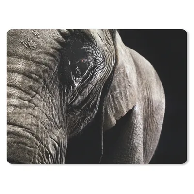 Produktbild von MuchoWow® Mauspad Mousepad Elefant - Tiere - Nahaufnahme - Schwarz 40x30 cm - Mousepads - Maus Mat - Pad - Mausunterlage - Anti Rutsch