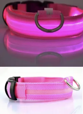 Productafbeelding van CHPN - LED-halsband - Lichtgevend hondenhalsband - Halsband - Roze - Maat L - 45-52 cm - Halsband voor dieren - Halsband - Roze halsband - Trendy hondenhalsband - Werkt op batterijen