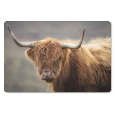 Produktbild von MuchoWow® Mauspad Mousepad Schottischer Highlander - Licht - Porträt 27x18 cm - Mousepads - Maus Mat - Pad - Mausunterlage - Büroartikel - Desk Matten