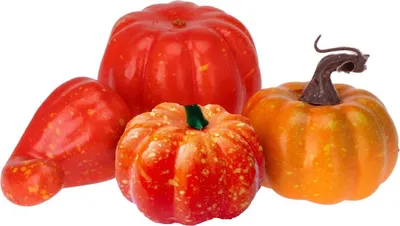 Obrázek produktu pro Dekorativní figurky dýní sada 4 kusů oranžový plast
