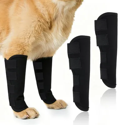 Produktbild von Knöchelbandage für Hunde mit Leckschutz, 2 Stück, verstellbare Beinschutzvorrichtungen