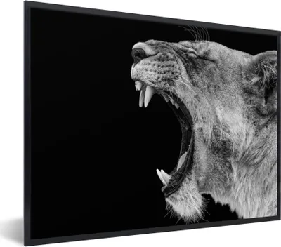 Produktbild von MuchoWow® Gerahmtes Poster Tiere - Löwe - Schwarz - Weiß - Porträt 80x60 cm - Poster mit Schwarzem Bilderrahmen Wandposter Rahmen Foto Bilder - Schwarzem - Mit Gestell