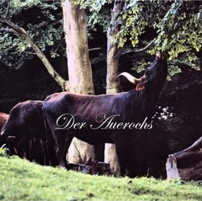 Image de Der Auerochs