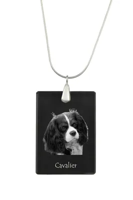 Image de Cavalier King Charles espagnol - Pendentif en cristal avec chien, collier en argent avec photo, pendentif personnalisé de la marque Art-Dog