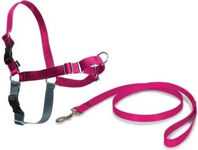 Produktbild von Petsafe Easy Walk Hundegeschirr Rosa M Rosa M