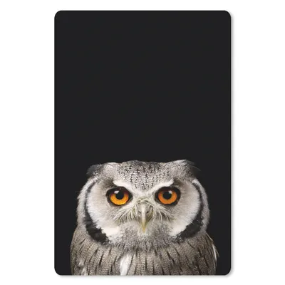 Produktbild von MuchoWow® Mauspad Mousepad Porträt Eule 40x60 cm - Mousepads - Maus Mat - Pad - Mausunterlage - Schreibtisch Accesoire
