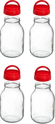 Produktbild von Großes 3L Vorratsglas (4 Stück) mit praktischem Tragegriff – Glasballon für Gurken, Liköre&Trockenwaren – Universalglas mit Deckel, ideal für Einlegen