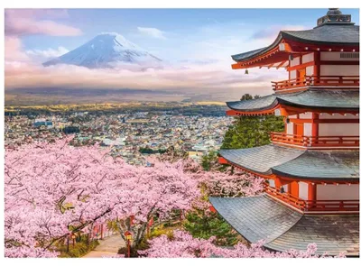 Image de Puzzle CASTORLAND au Japon, 500 pièces