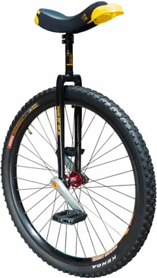 Produktbild von Qu-Ax 29" Einrad, Muni, 622 mm, schwarz (1713)