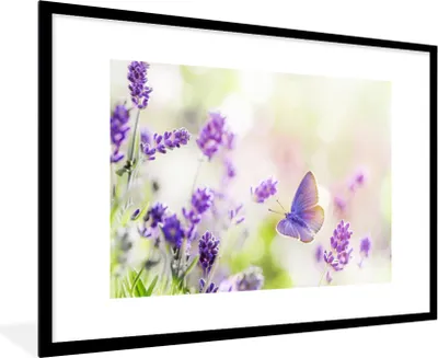 Produktbild von MuchoWow® Gerahmtes Poster Lavendel - Schmetterling - Blumen 90x60 cm - Poster mit Schwarzem Bilderrahmen Wandposter Rahmen Foto Bilder - Wanddekoration - Fotos