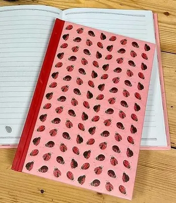 Immagine prodotto di A5 SHB05 Quaderno Ladybird TW
