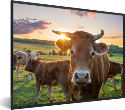 Produktbild von MuchoWow® Gerahmtes Poster Kühe - Sonne - Wiese - Landleben 80x60 cm - Poster mit Schwarzem Bilderrahmen Wandposter Rahmen Foto Bilder - Schwarzem - Mit Gestell