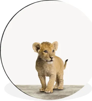 Produktbild von MuchoWow® Aluminium Wandkreis Löwe - Junge - Kinder - Jungen - Tiere - Mädchen Ø 30 cm Wanddeko Modern Wohnzimmer - Wand Bild - Wohnzimmer - Runde Bilder - Alubilder - Kunst für zu Hause - Aluminium - Wanddekoration