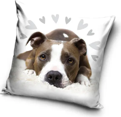 Immagine prodotto di Fodera per cuscino per cani 40*40 cm