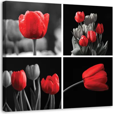 Produktbild von Leinwandbild reihe roter tulpen 30x30 cm Feeby rot wandbild bereit zum aufhängen