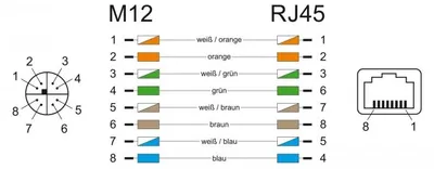 Immagine prodotto di DeLOCK - Adattatore di rete - da 8 pin M12 (W) diritto a RJ-45 (W) angolato - CAT 6a - Nero (66316)