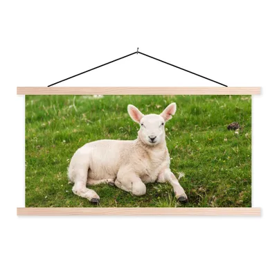 Produktbild von MuchoWow® Textilposter Schafe - Tiere - Lamm 120x60 cm mit holzfarbenen Rahmen - Klemmleiste
