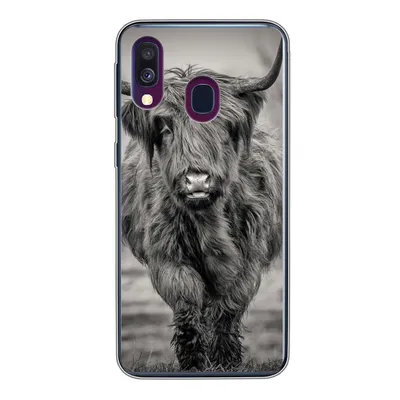 Produktbild von MuchoWow® Handyhülle Schutzhülle Hülle für Samsung Galaxy A40 Schottischer Highlander - Schwarz und Weiß Silikon Softcase Handy Hülle - Handy-Tasche