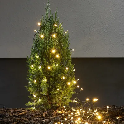 Produktbild von LED Lichterkette - 50 warmweiße LED - L: 4,9m - Timer - grünes Kabel - für Außen