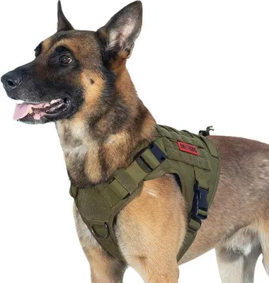 Productafbeelding van Famanu Hondenharnas, tactisch, molle systeem, voor hondentraining, 1000D nylon - XL, rangergroen