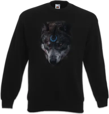 Produktbild von Urban Backwoods Wolf Moon, Sweatshirt, Farbe: Schwarz, Größe: M